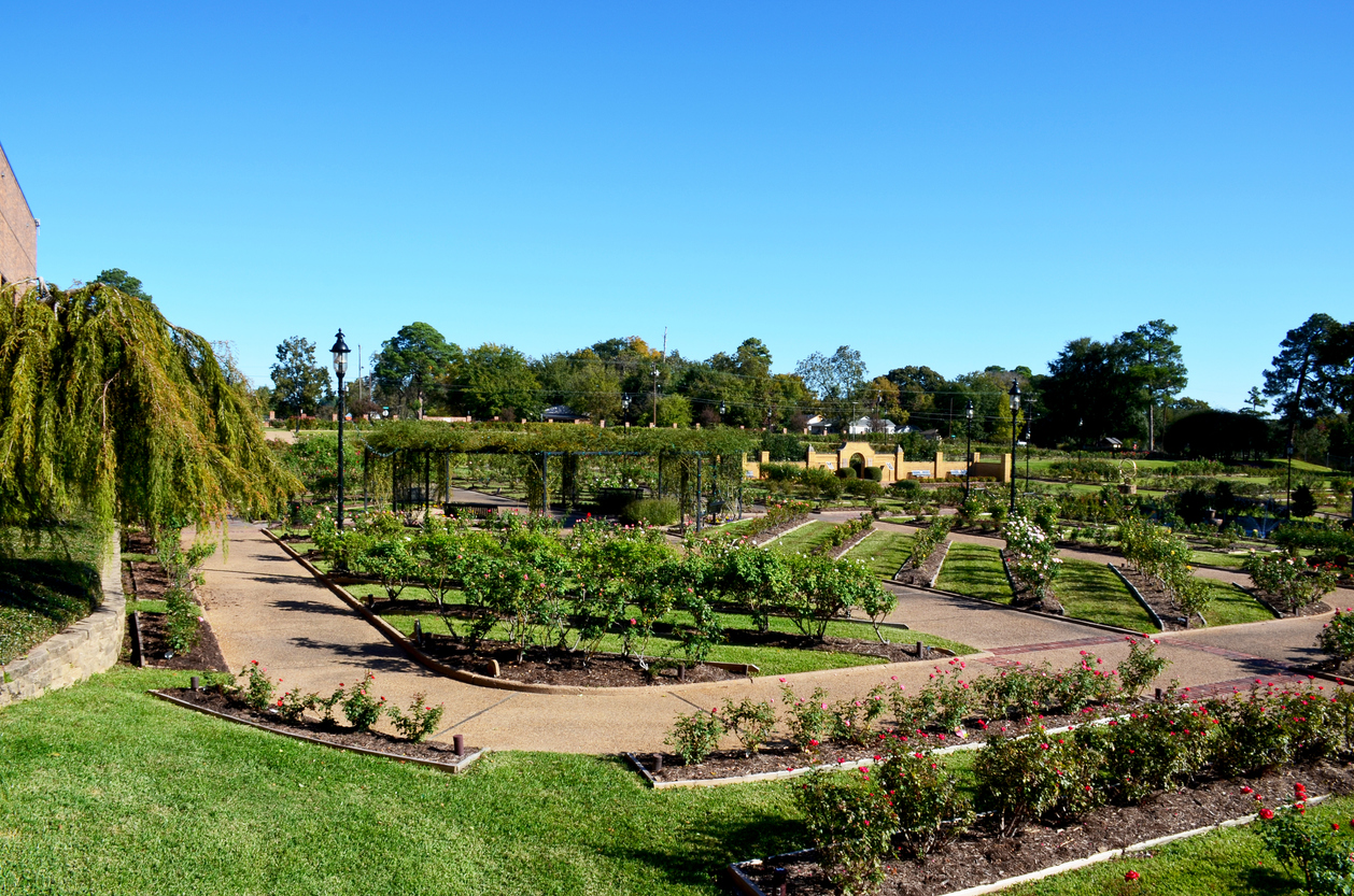 Panoramic Image of Tyler, TX